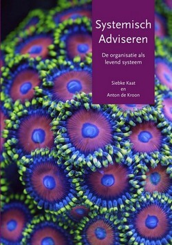 Systemisch Adviseren, Siebke Kaat en Anton de Kroon